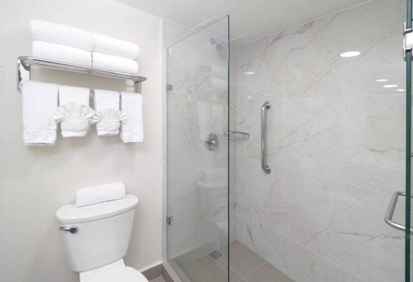 غرفة بيزنس, Wyndham Garden Monterrey Norte