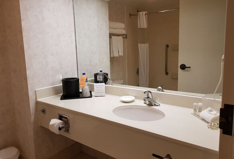 Номер Стандарт 2 Двуспальные Кровати, Wyndham Garden Monterrey Norte