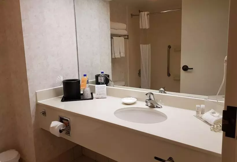 ２ダブルベッドのスタンダードルーム, Wyndham Garden Monterrey Norte