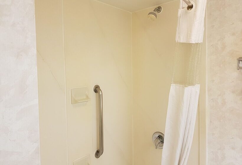 غرفه قياسيه سريرين مزدوجين, Wyndham Garden Monterrey Norte