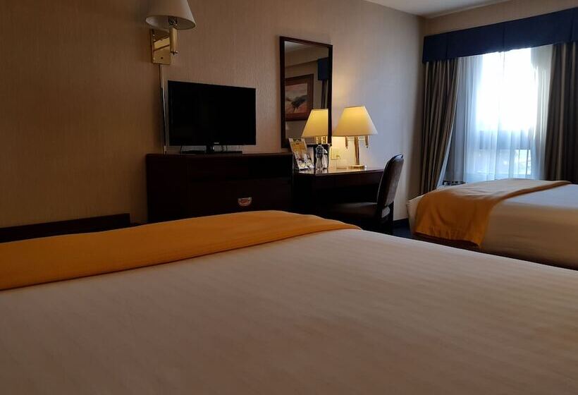 غرفه قياسيه سريرين مزدوجين, Wyndham Garden Monterrey Norte