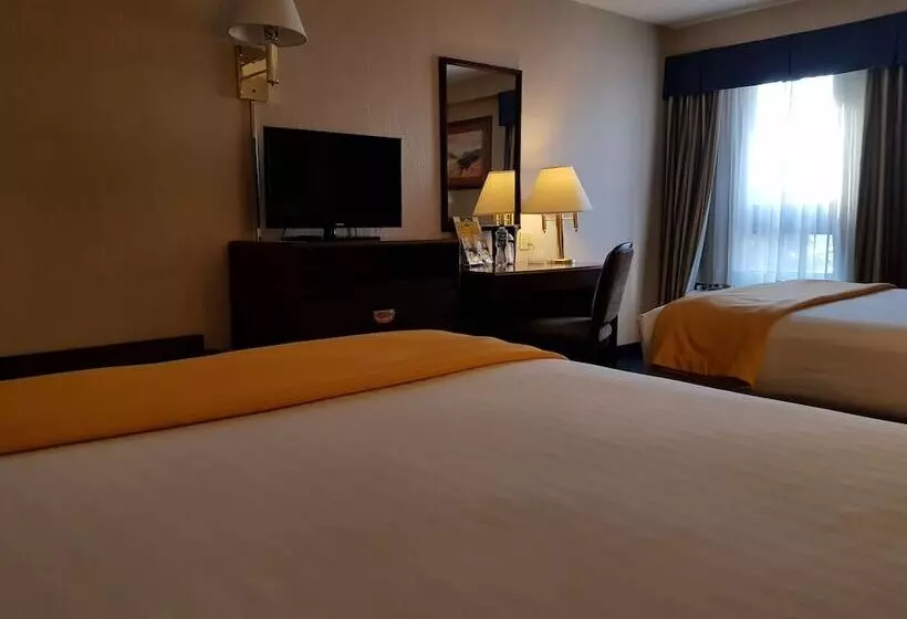 ２ダブルベッドのスタンダードルーム, Wyndham Garden Monterrey Norte