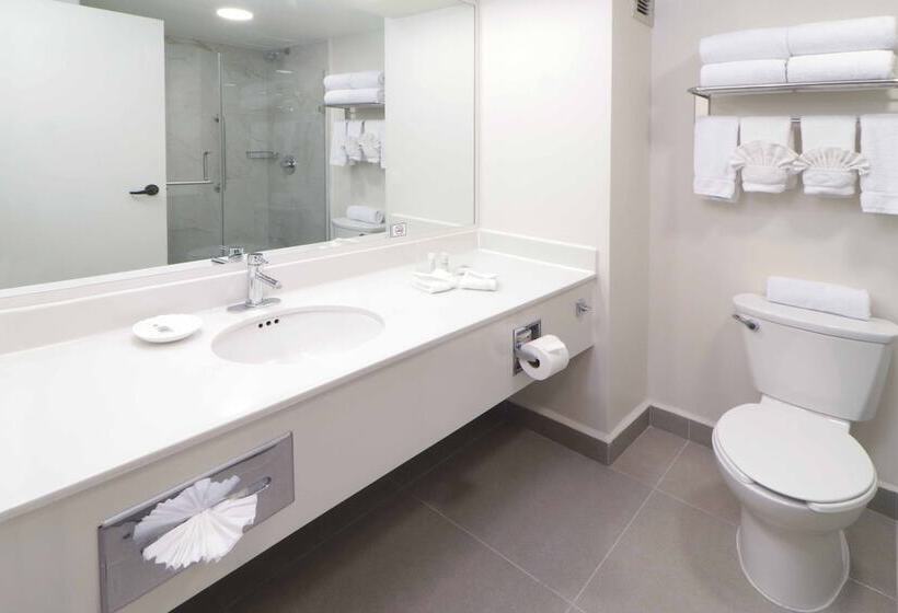 غرفة بيزنس, Wyndham Garden Monterrey Norte