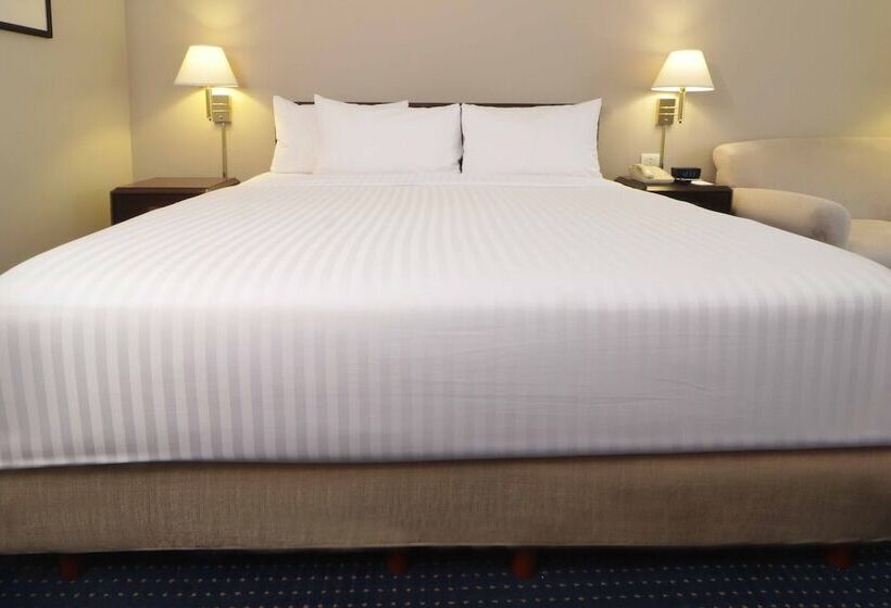 غرفة بيزنس, Wyndham Garden Monterrey Norte