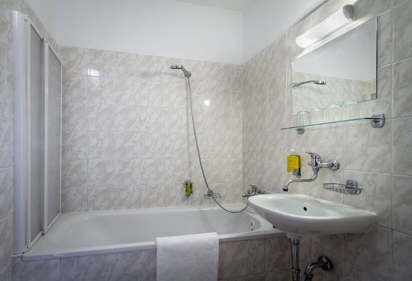 Quarto Estandar Individual, Aida