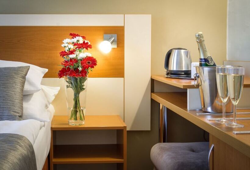 Quarto Estandar, Aida