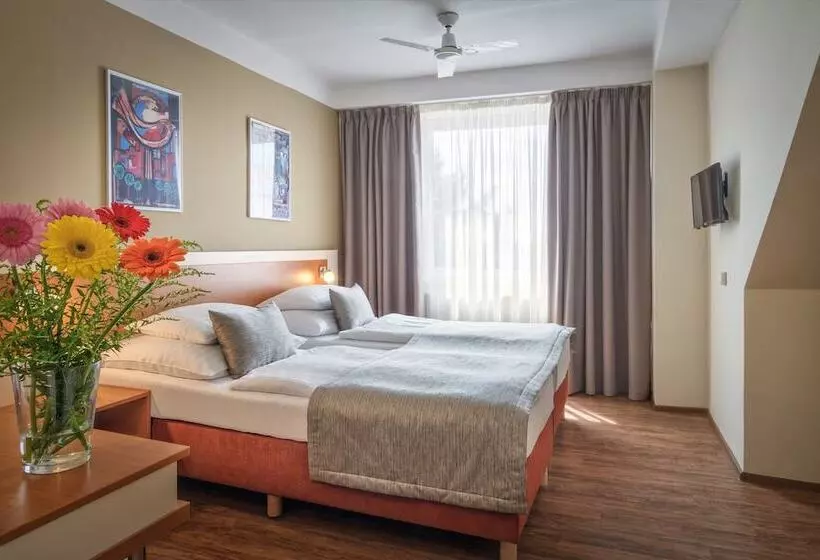 Quarto Estandar, Aida