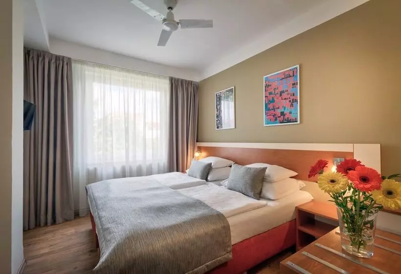 Quarto Estandar, Aida