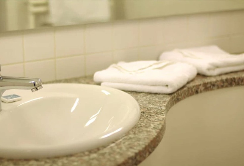 스탠다드 룸, Am Terrassenufer