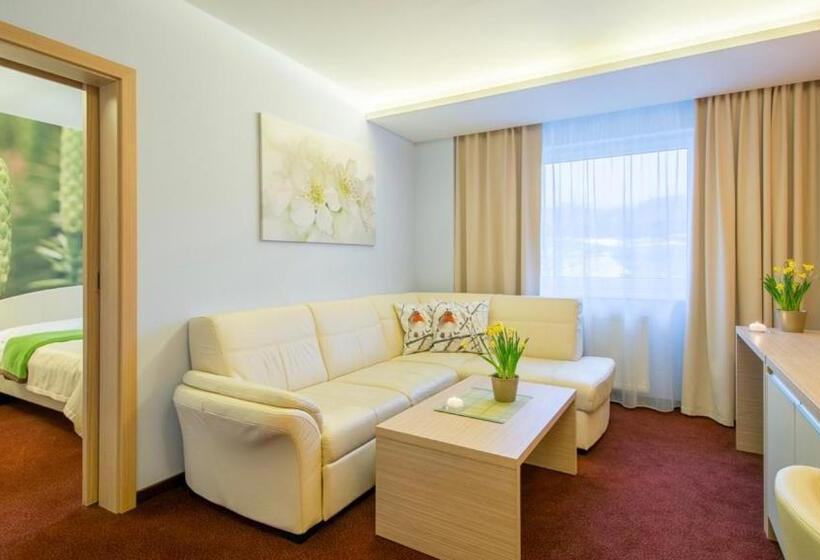 Апартаменты 1 Спальня с Видом, Slovan