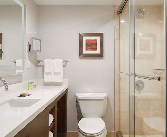 Стандартный Номер Кровать Кинг, Doubletree By Hilton Orlando Airport