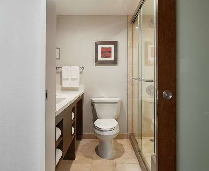 Стандартный Номер Кровать Кинг, Doubletree By Hilton Orlando Airport