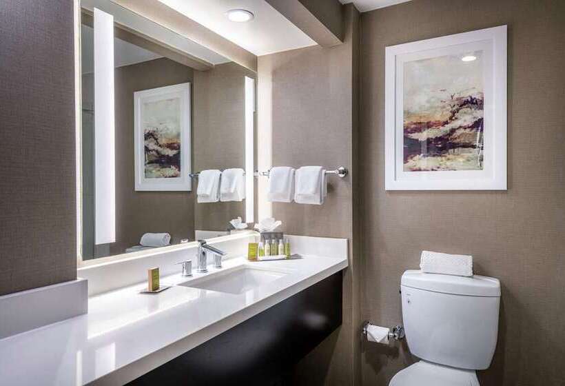 Стандартный Номер Кровать Кинг, Doubletree By Hilton Orlando Airport