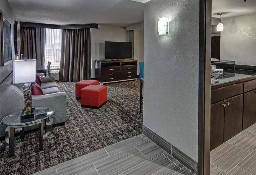 سوئیت جونیور با تخت بزرگ, Doubletree By Hilton Orlando Airport