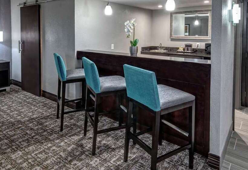 Полулюкс Кровать Кинг, Doubletree By Hilton Orlando Airport