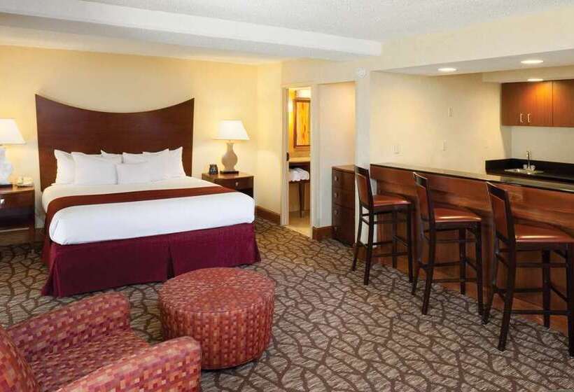 Полулюкс Кровать Кинг, Doubletree By Hilton Orlando Airport