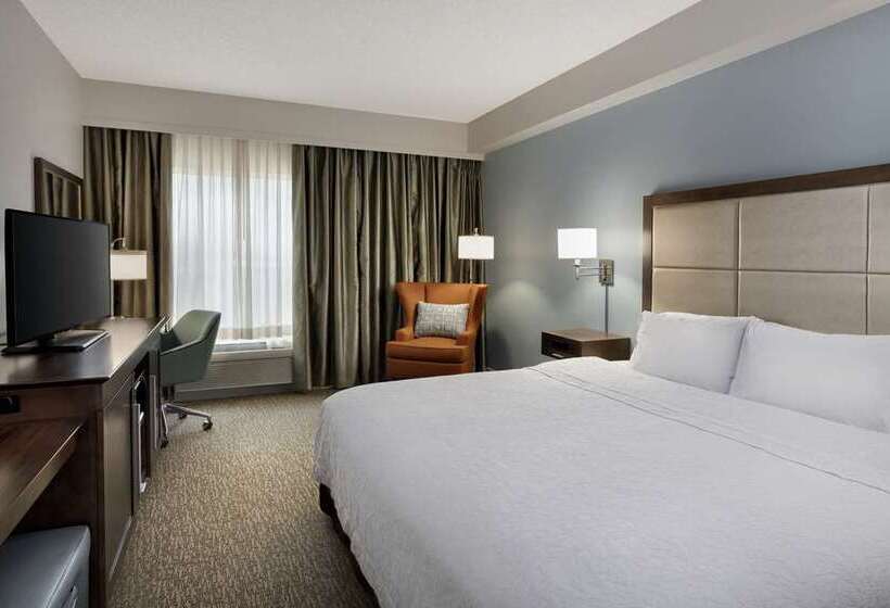 اتاق استاندارد, Doubletree By Hilton Orlando Airport