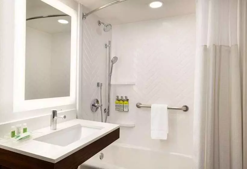 اتاق استاندارد با تخت بزرگ, Doubletree By Hilton Orlando Airport