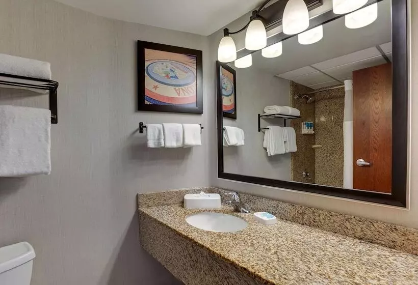 テラス付きデラックスルーム, Drury Inn & Suites Phoenix Airport