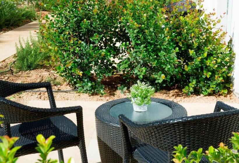 استودیوی استاندارد, Salini Resort