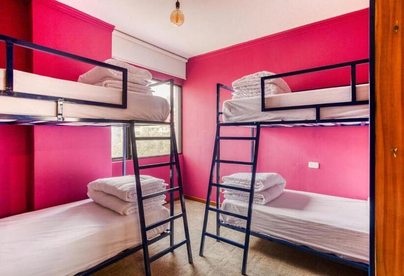 מיטה בחדר משותף, Socialtel Quito   Formerly Selina Quito