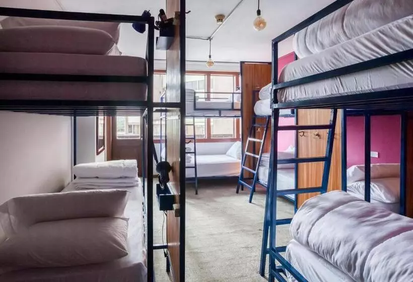ルームシェアのワンベッド, Socialtel Quito