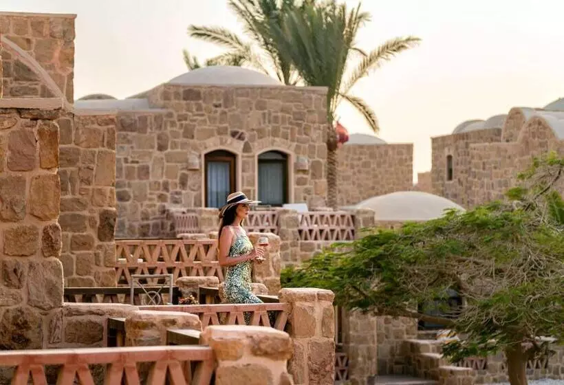 اتاق پرمیوم با چشمانداز دریا, Movenpick Resort El Quseir