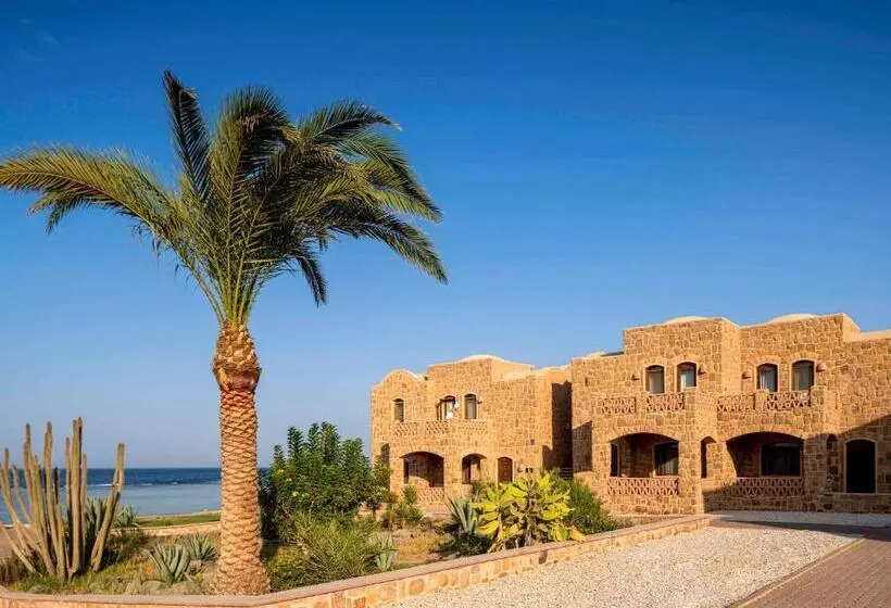 اتاق پرمیوم با چشمانداز دریا, Movenpick Resort El Quseir