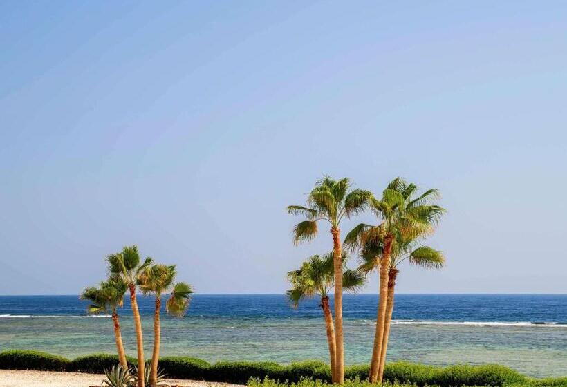 اتاق سوپریور با چشم‌انداز دریا, Movenpick Resort El Quseir