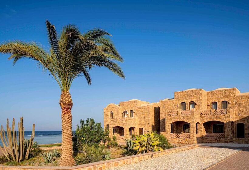 اتاق سوپریور با چشم‌انداز جانبی دریا, Movenpick Resort El Quseir