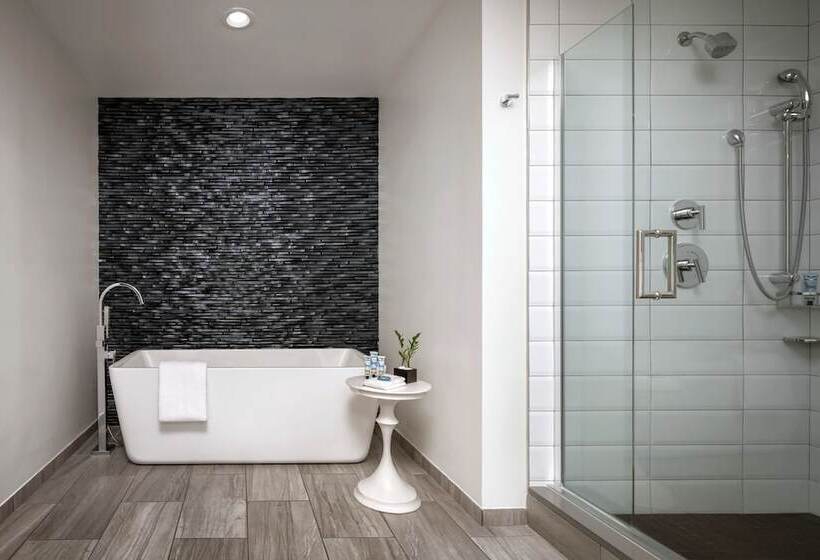 جناح بريميوم, The Vinoy Resort & Golf Club, Autograph Collection