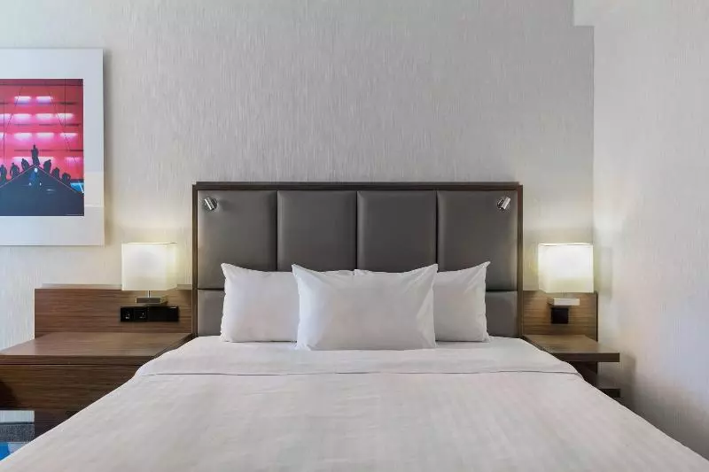 اتاق استاندارد با تخت دو نفره بزرگ, Courtyard By Marriott Wiesbaden Nordenstadt
