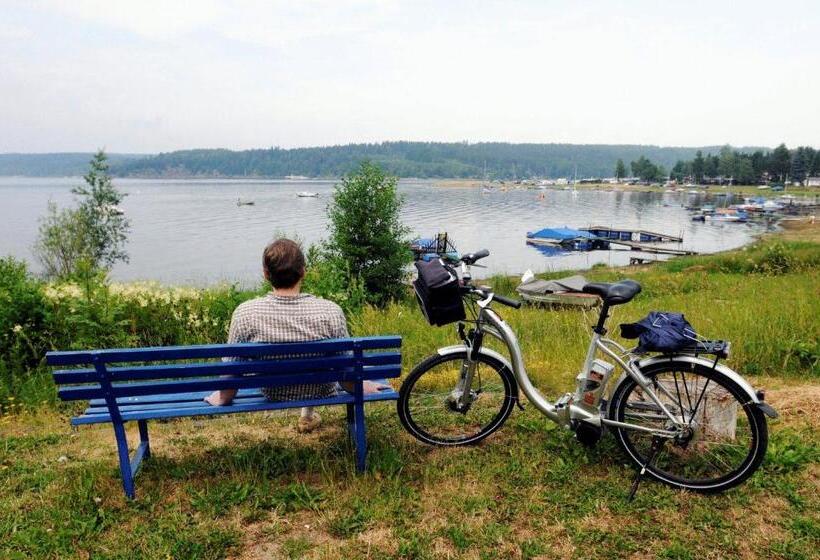 スタンダードシングルルーム, Luginsland