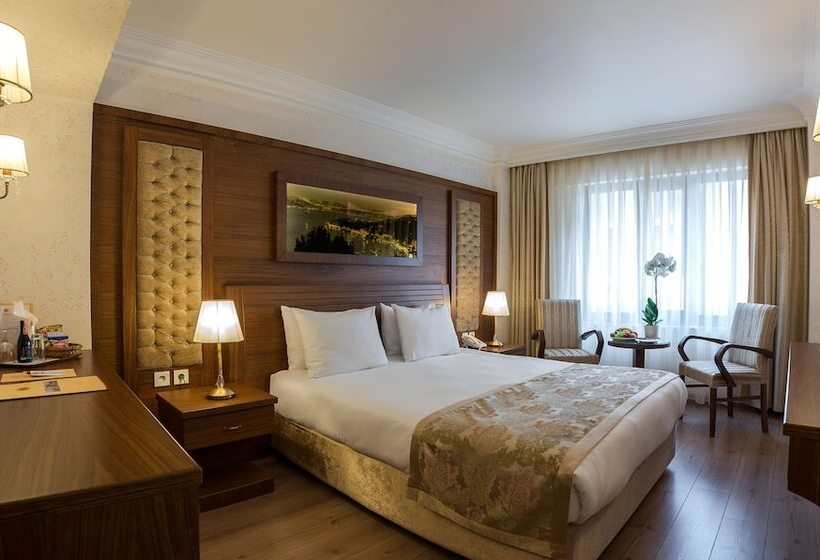 اتاق استاندارد, Yigitalp Istanbul