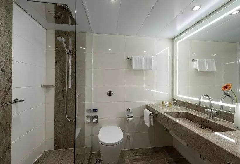 اتاق راحتی یک تخته, Maritim Hotel Bremen