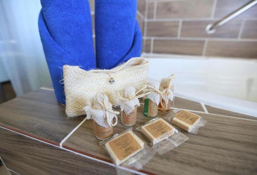 小型套房, Cozumel Hotel & Resort Trademark Collection By Wyndham