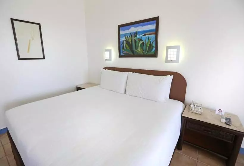 اتاق استاندارد با تخت بزرگ, Cozumel Hotel & Resort
