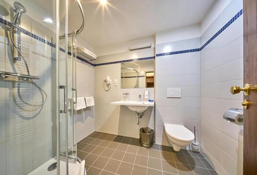 スーペリアールーム, Adam Trutnov