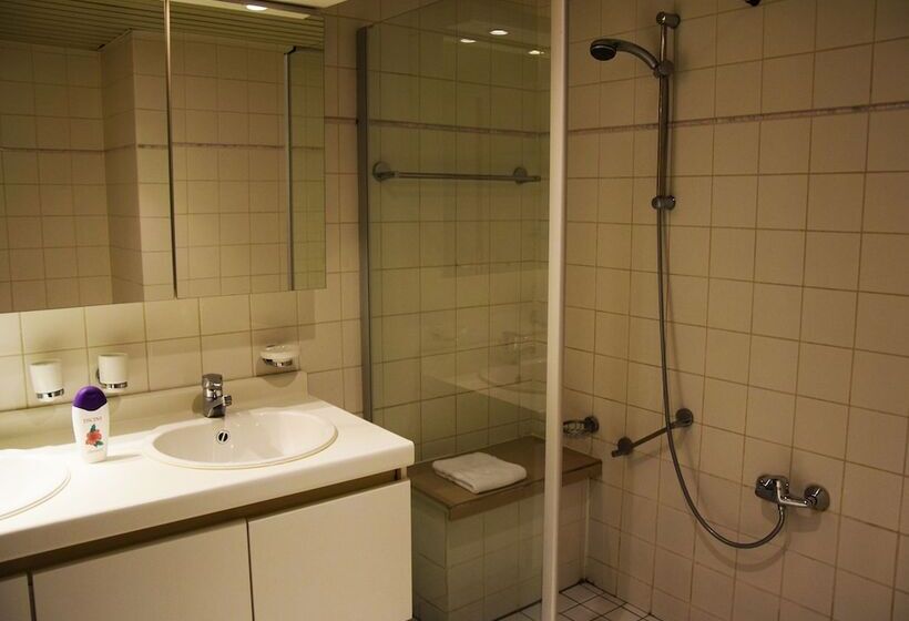 إستوديو قياسى, Ambassador Suites Antwerp