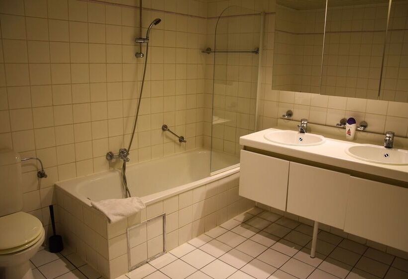 إستوديو قياسى, Ambassador Suites Antwerp