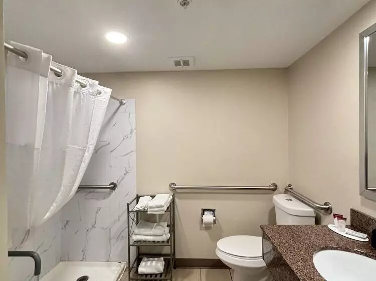 デラックスルーム, Baymont By Wyndham Lake Park Valdosta I75