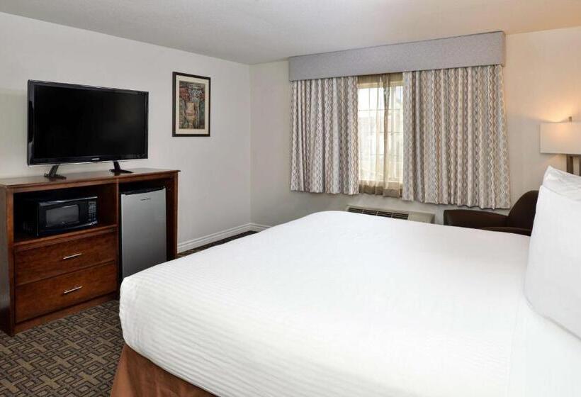 스탠다드 룸 킹사이즈 침대, Best Western Kettleman City Inn & Suites