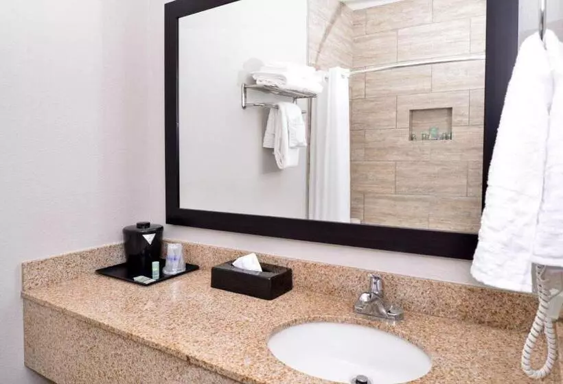 سوئیت با تخت بزرگ, Best Western Kettleman City Inn & Suites