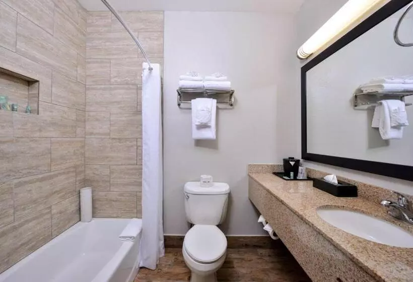اتاق استاندارد با تخت بزرگ, Best Western Kettleman City Inn & Suites