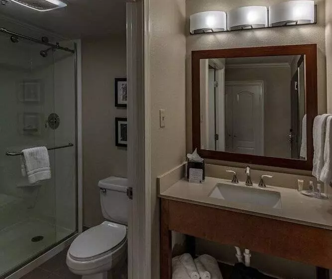 اتاق استاندارد با 2 تخت دوبل, Comfort Inn & Suites At Copeland Tower