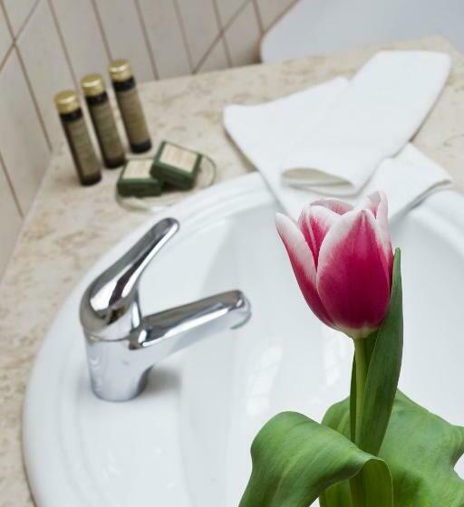 スタンダードルーム, Kapitany Wellness