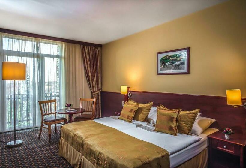 バルコニー付きスタンダードルーム, Kapitany Wellness