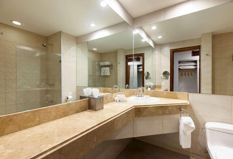 프리미엄 룸, Radisson San Josecosta Rica