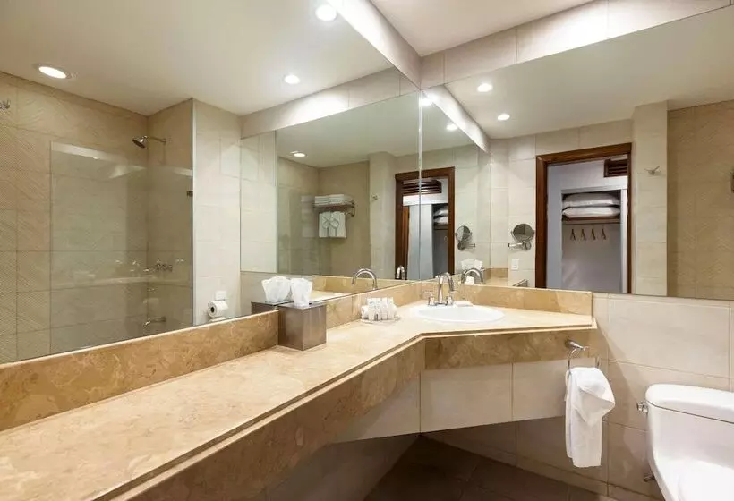 اتاق پرمیوم, Radisson San Josecosta Rica