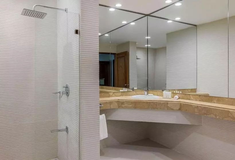 استودیوی استاندارد با تخت دوبل, Radisson San Josecosta Rica